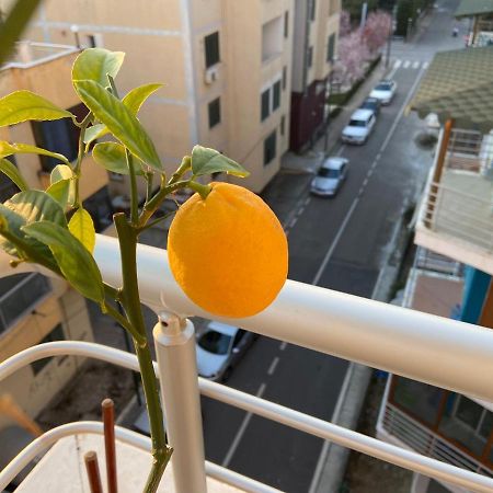 Nora Apartments Durrës 外观 照片